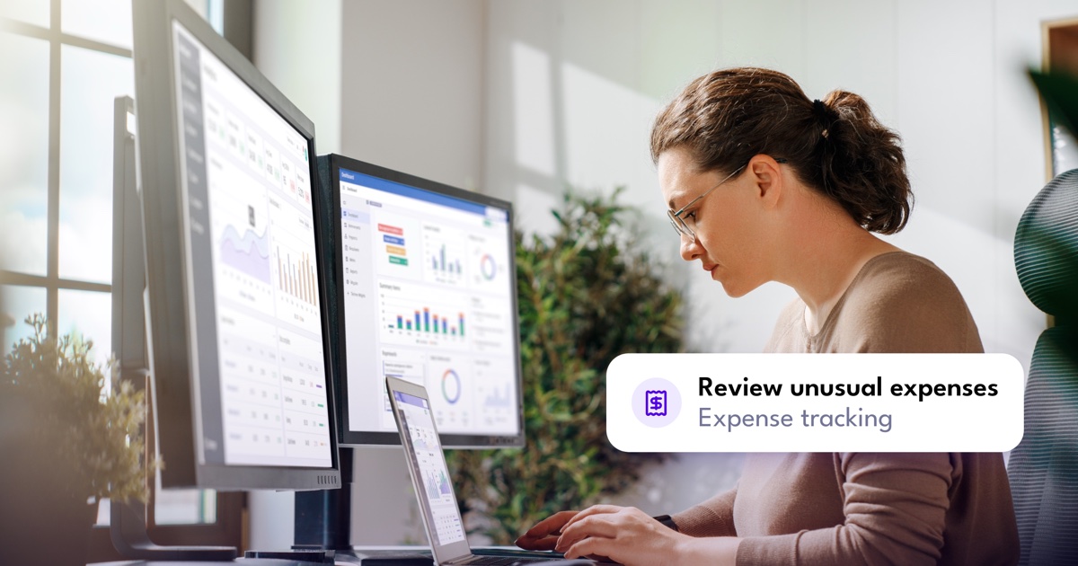 A bookkeeping assistant flags unusual expenses for review.