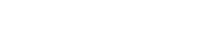 Twingate Logo